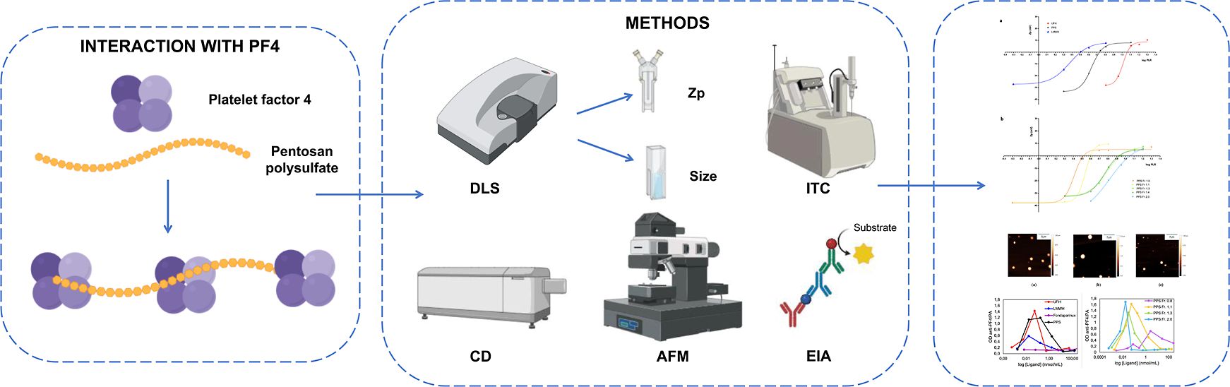 pentosan polysulfate